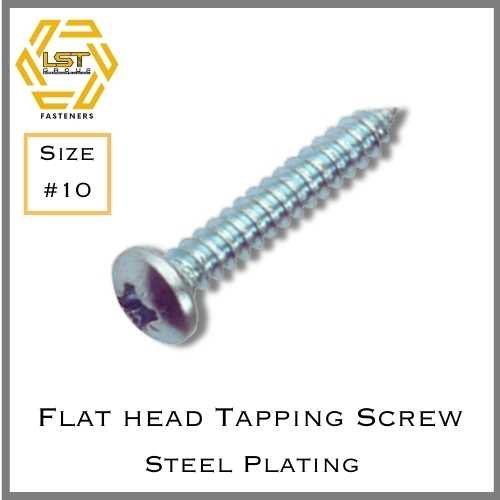 สกรูเกลียวปล่อยเหล็กชุบขาว หัว P Self Tapping Screw PH #10