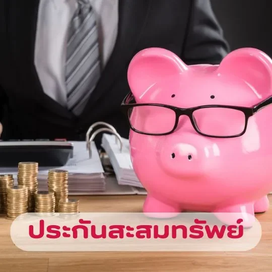 ประกันสะสมทรัพย์_aia
