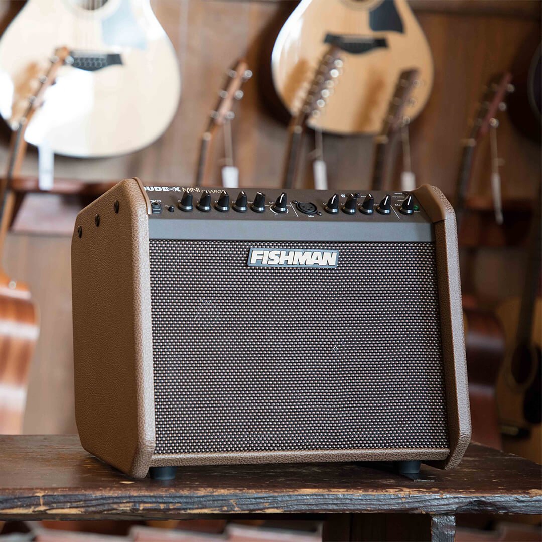 Fishman Loudbox Mini Charge 60W Battery Powered Acoustic Guitar ...
