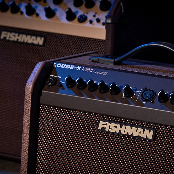 Fishman Loudbox Mini Charge 60W Battery Powered Acoustic Guitar ...
