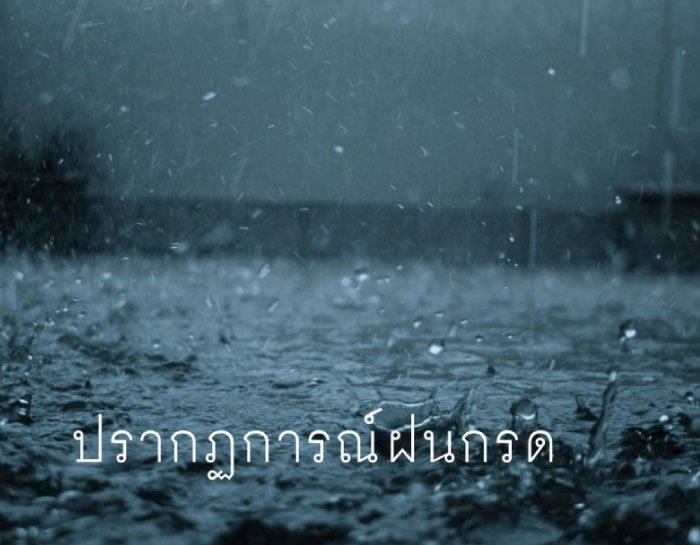ปรากฏการณ์ ฝนกรด (Acid Rain) คือการลดลงของค่าความเป็นกรด-ด่าง