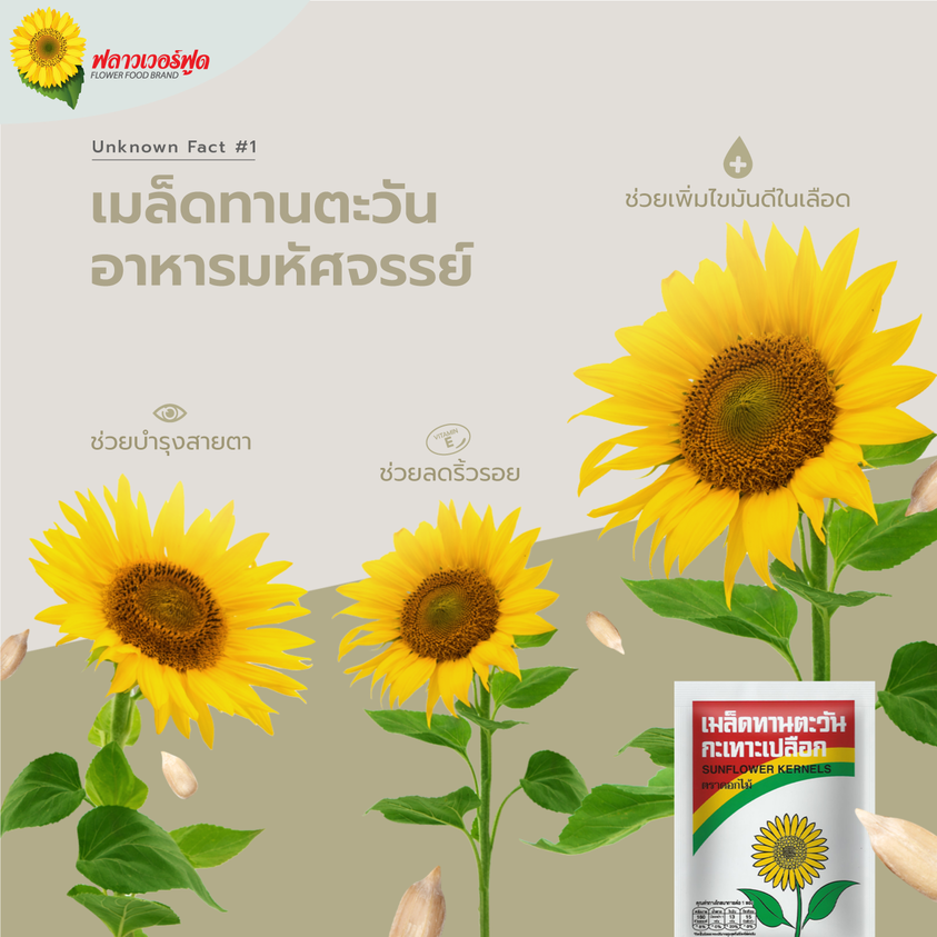 ประโยชน์ของเมล็ดทานตะวัน ประโยชน์ของเมล็ดทานตะวัน