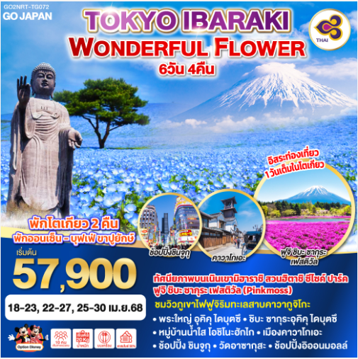 TOKYO IBARAKI WONDERFUL FLOWER 6D 4N - TG