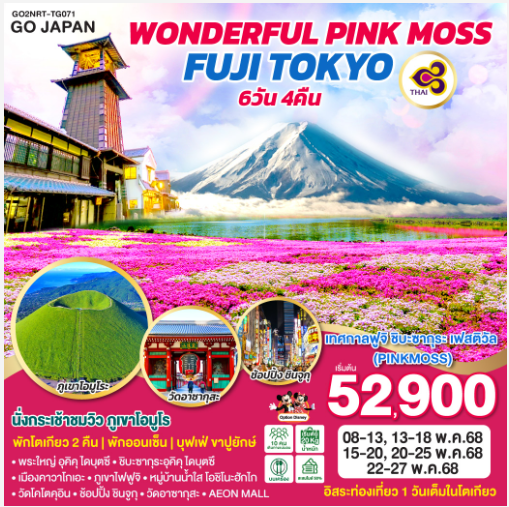 WONDERFUL PINKMOSS FUJI TOKYO 6D 4N - TG