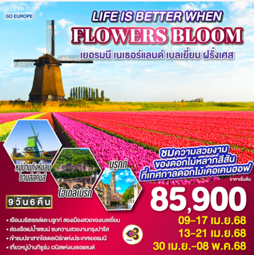 LIFE IS BETTER WHEN FLOWERS BLOOM เยอรมนี เนเธอร์แลนด์ เบลเยี่ยม ฝรั่งเศส 9 วัน 6 คืน -TG