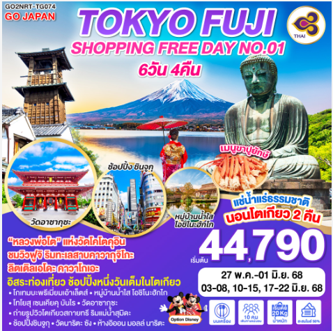 TOKYO FUJI SHOPPING FREE DAY NO.01 6D 4N-TG