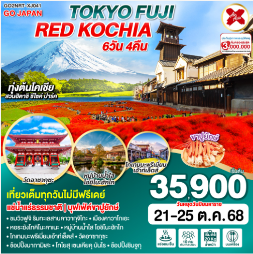 TOKYO FUJI RED KOCHIA 5D 3N โดยสายการบินไทยแอร์เอเชีย เอ็กซ์ - XJ