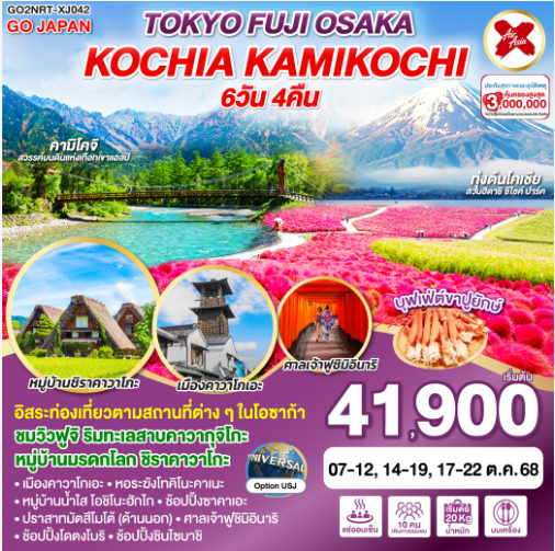 TOKYO FUJI OSAKA KOCHIA KAMIKOCHI 6D 4N-XJ