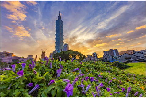Go Taiwan มนต์เสน่ห์ไต้หวัน ทริปเดียว เที่ยวครบ ไทเป อาลีซาน เย๋หลิ่ว จิ่วเฟิ่น ล่องทะเลสาบสุริยันจันทรา 5 วัน 3 คืน-CI