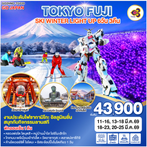 TOKYO FUJI SKI WINTER LIGHT UP 6D 3N - TG