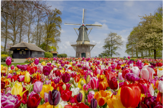 เยอรมนี - เนเธอร์แลนด์ - เบลเยี่ยม 8 วัน 5 คืน - EK