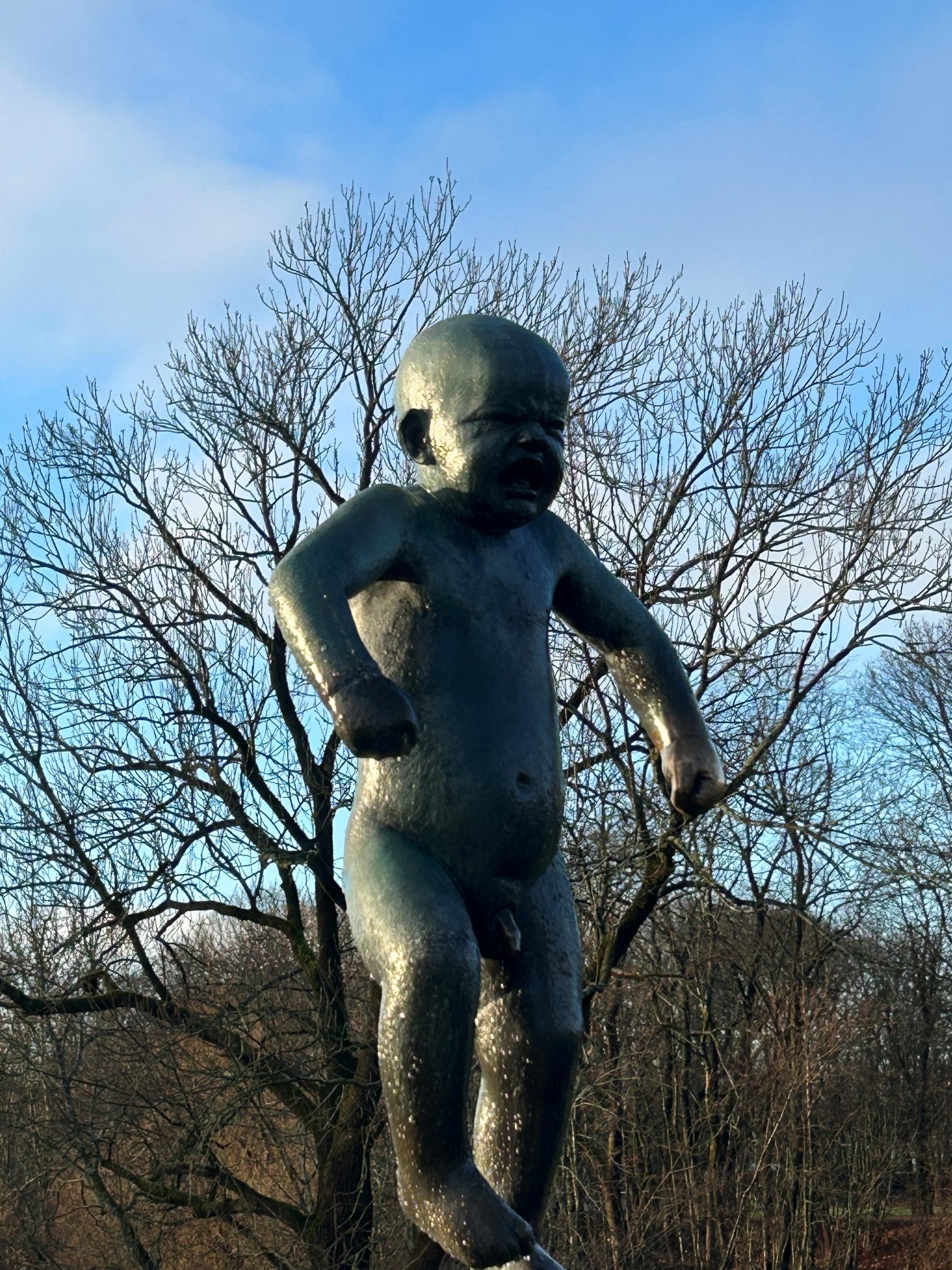 Norway Northern Lights Hunting 