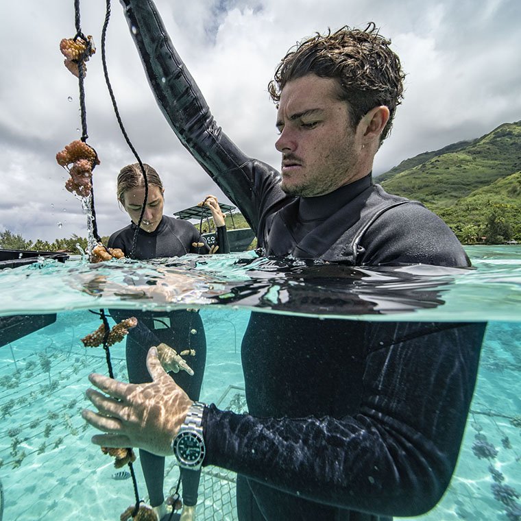 ROLEX-Perpetual Planet Initiative and Coral Gardeners