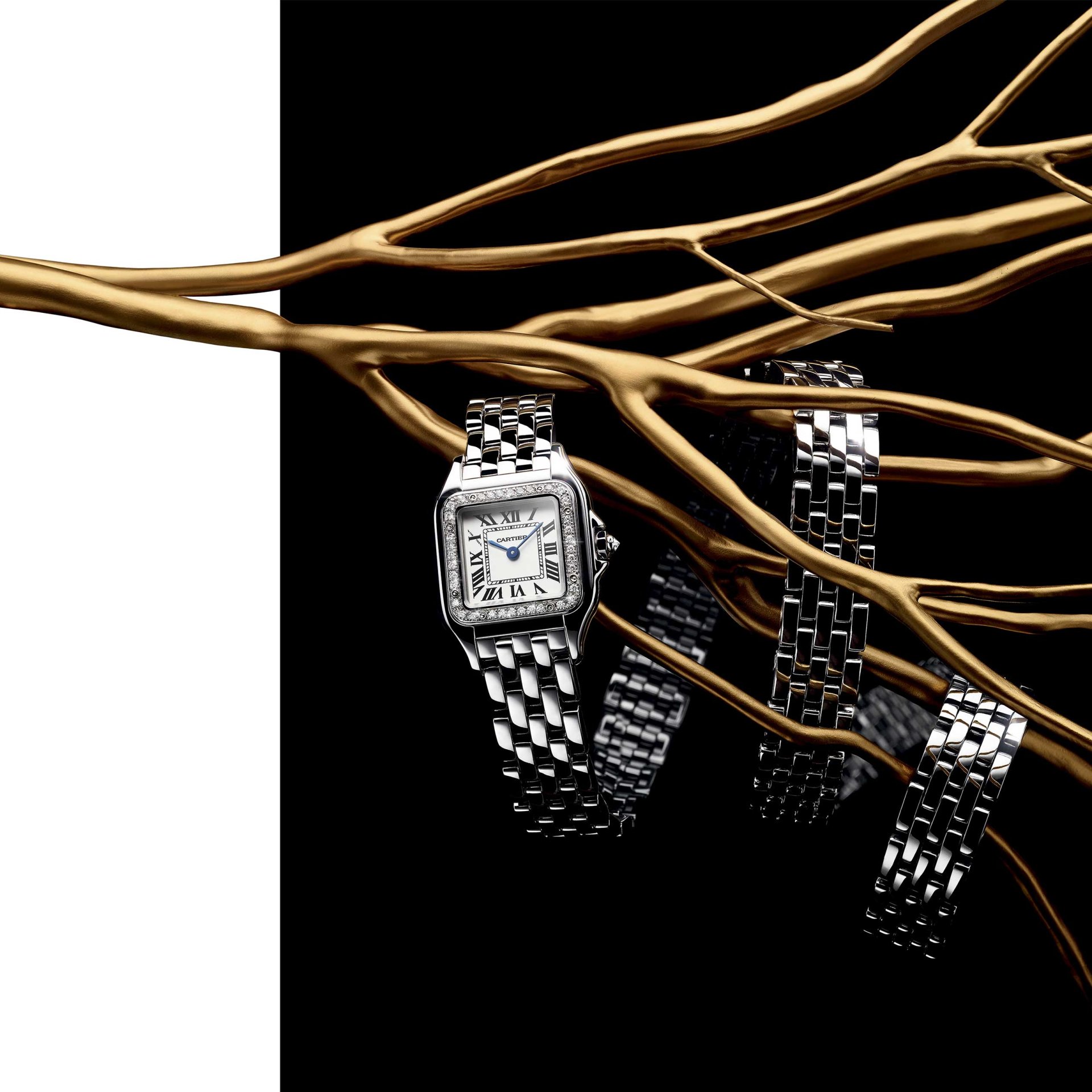 นาฬิกา ปองแตร์ เดอ คาร์เทียร์ (Panthère de Cartier)