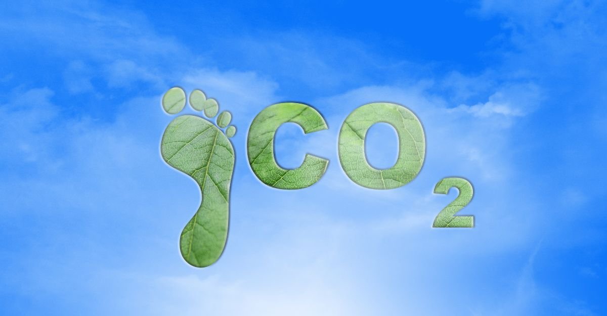 Carbon footprint là gì?  Cách đo lượng khí thải