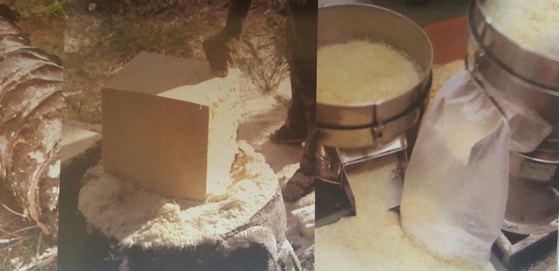 ไฟเบอรืดีท๊อคลำไส้ ไฟเบอรืดีท๊อคลำไส้