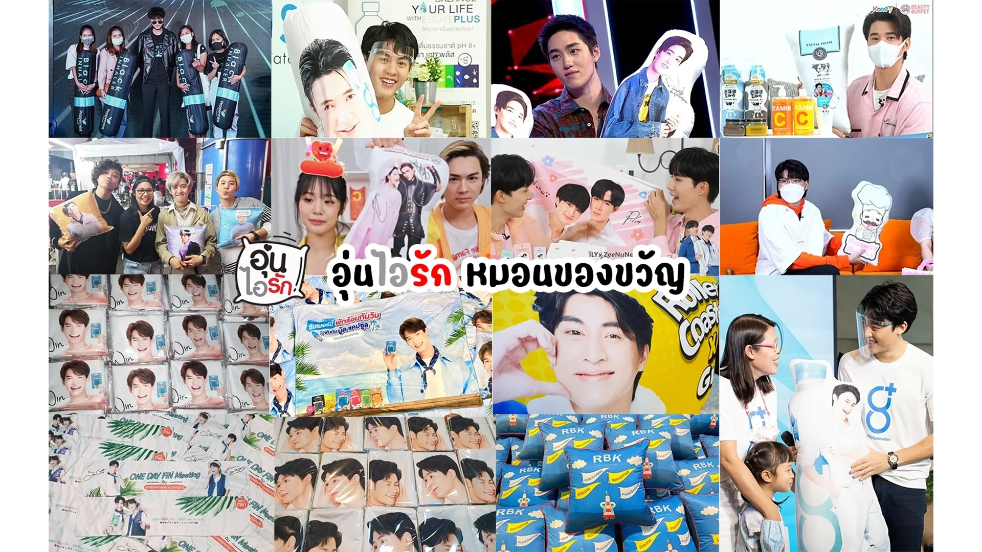 หมอนสกรีน หมอนอิง