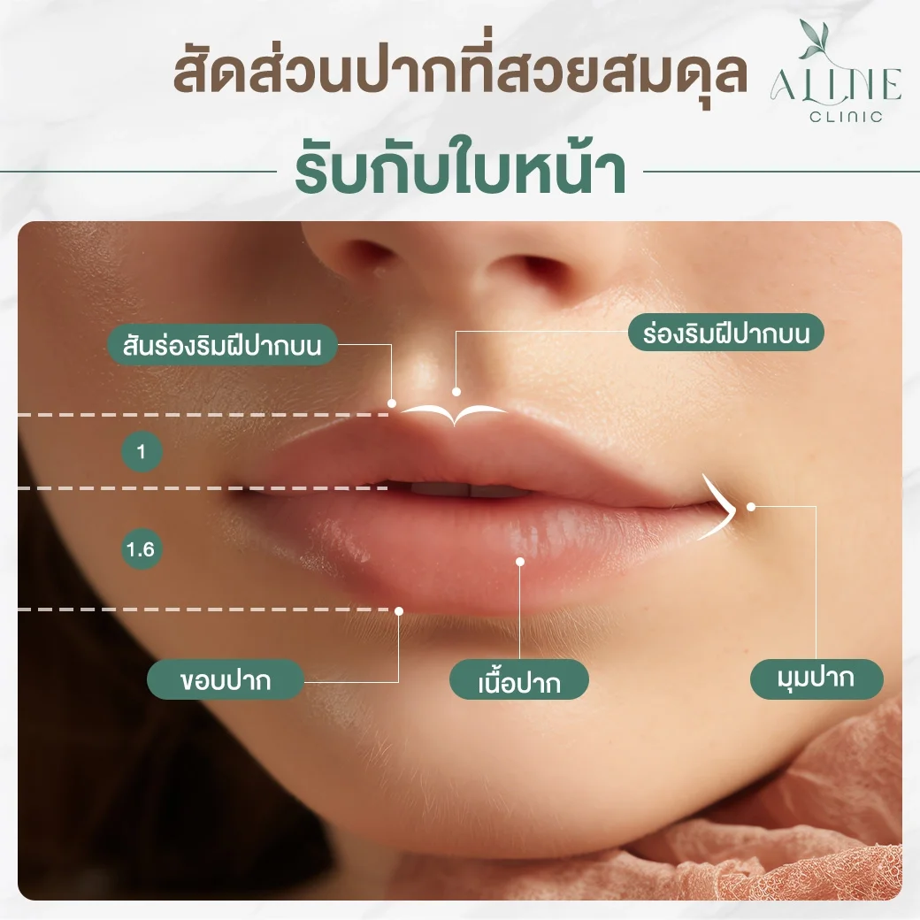 ริมฝีปากสวยได้สัดส่วน