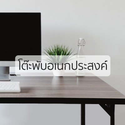 โต๊ะพับเอนกประสงค์