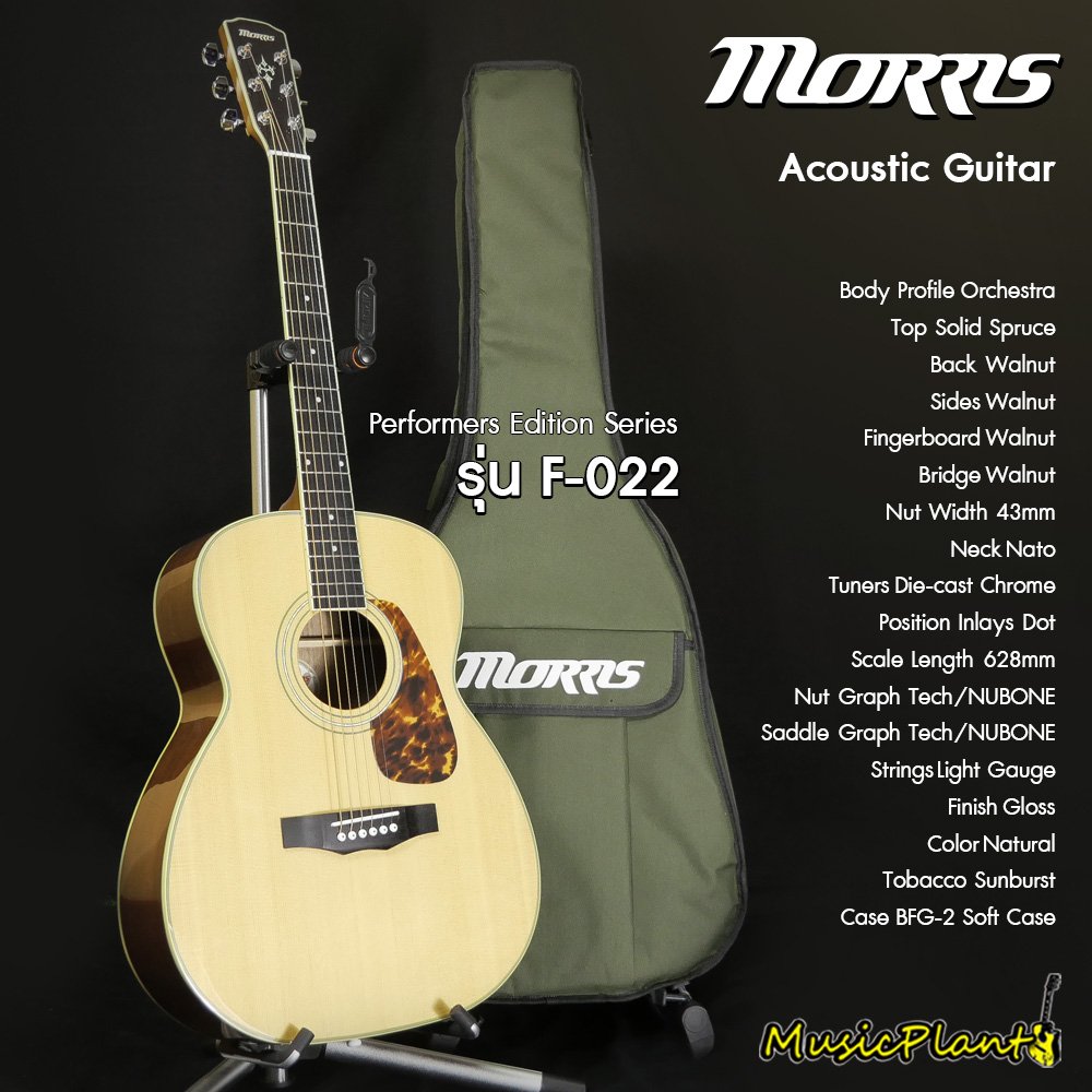 Morris モーリス F-01TS アコースティックギター - アコースティックギター