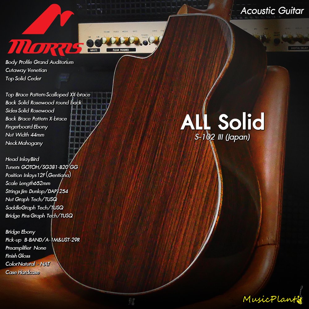 Morris: S-102III (Japan), Acoustic Guitar - musicplant