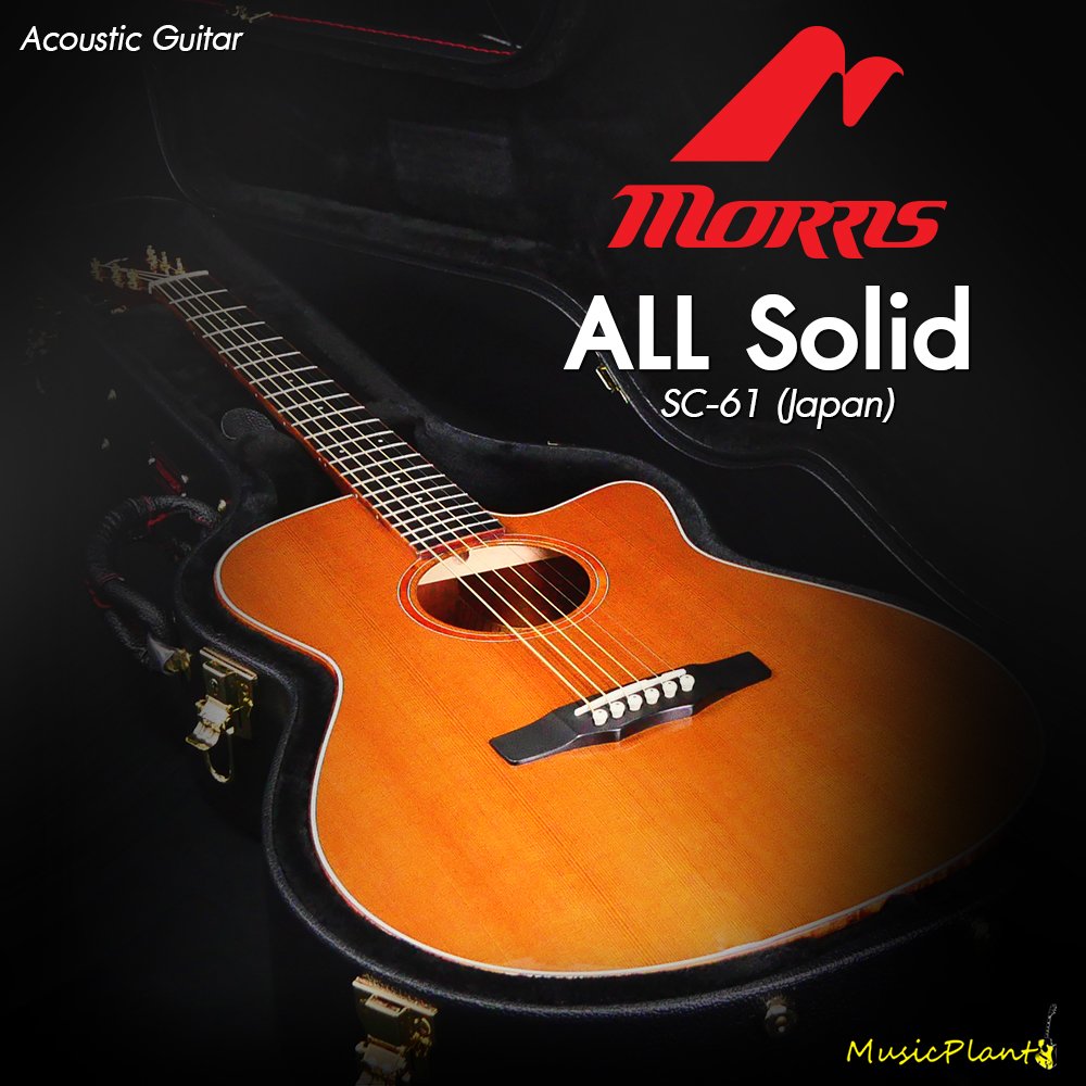 春夏新作モデル Morris S-61 日本製 HANDMADE 単板トップ/バック ギター