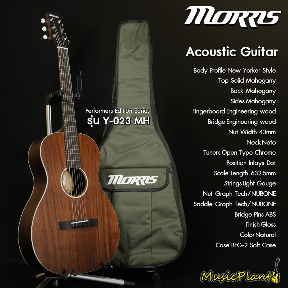 Morris: Y-023MH, Acoustic Guitar - musicplant
