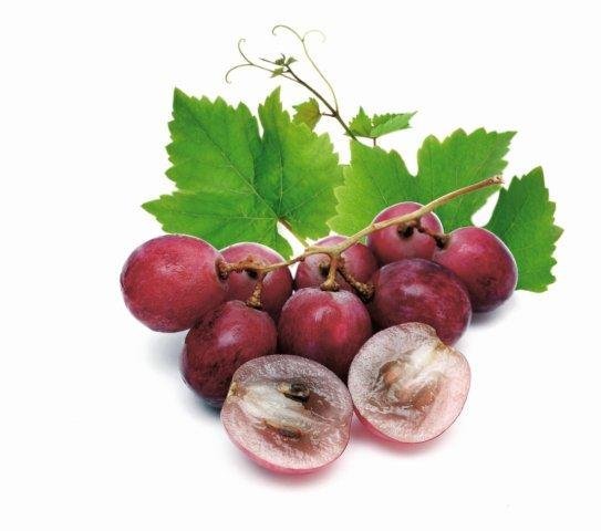Grape Organic Active