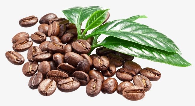 Coffea arabica Organic Active