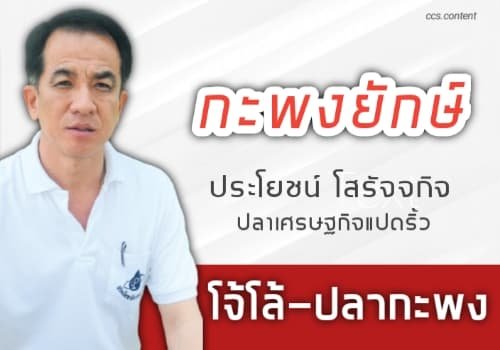 บทความพิเศษ "ปลาเศรษฐกิจแปดริ้ว "กะพงยักษ์"