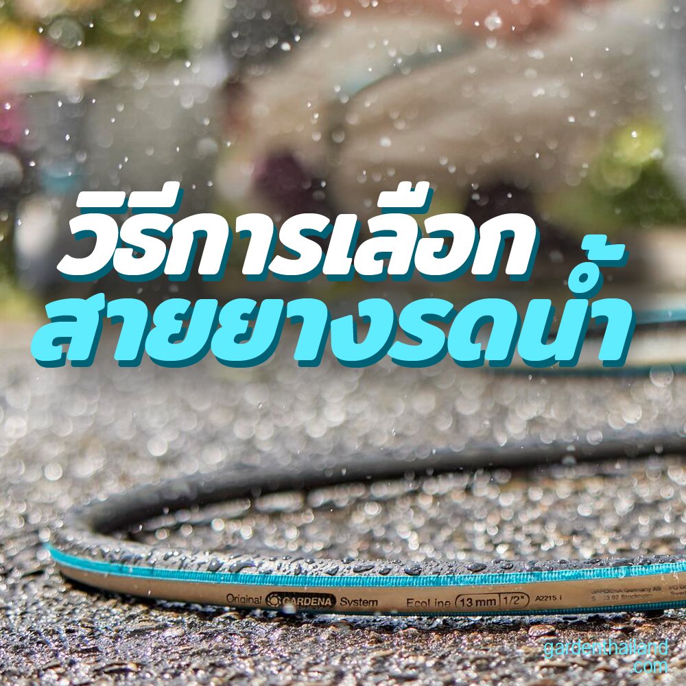 วิธีการเลือกสายยางรดน้ำ  วิธีการเลือกสายยางรดน้ำ
