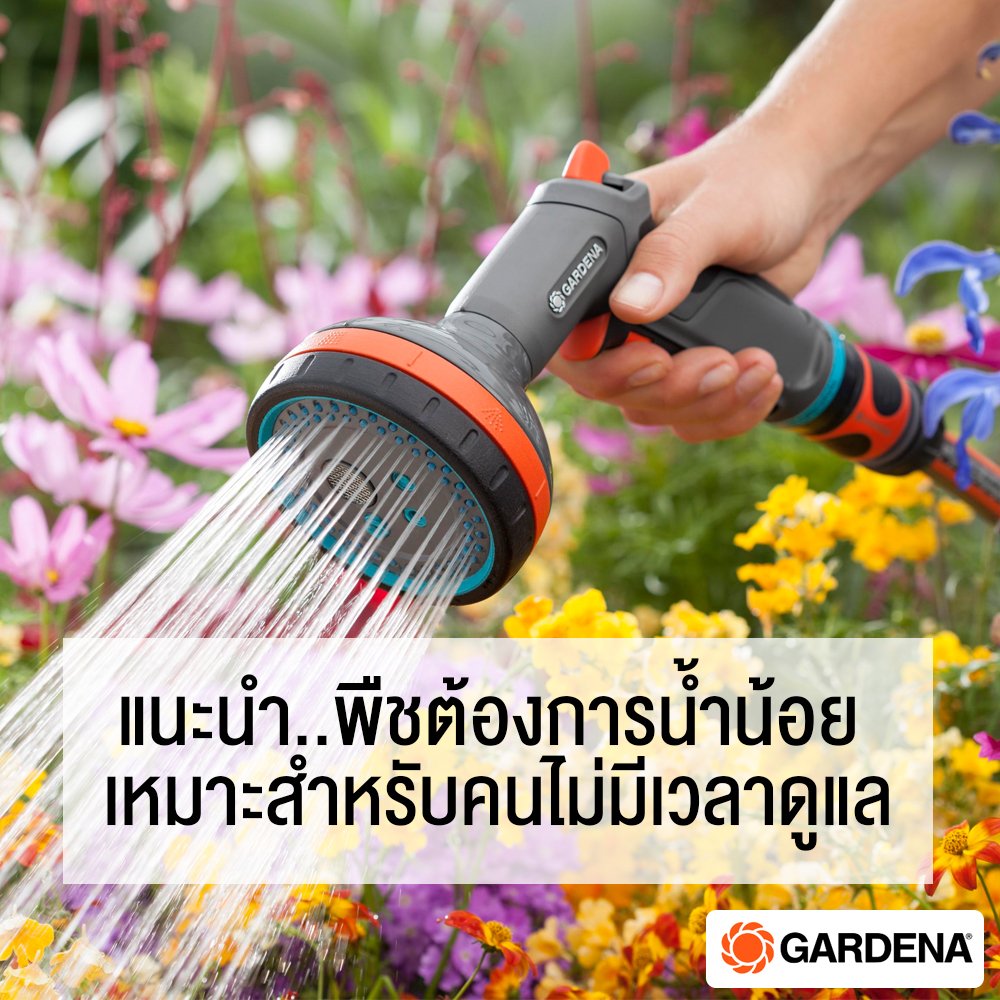 แนะนำ พืชต้องการน้ำน้อย เหมาะสำหรับคนไม่มีเวลาดูแล แนะนำ พืชต้องการน้ำน้อย เหมาะสำหรับคนไม่มีเวลาดูแล