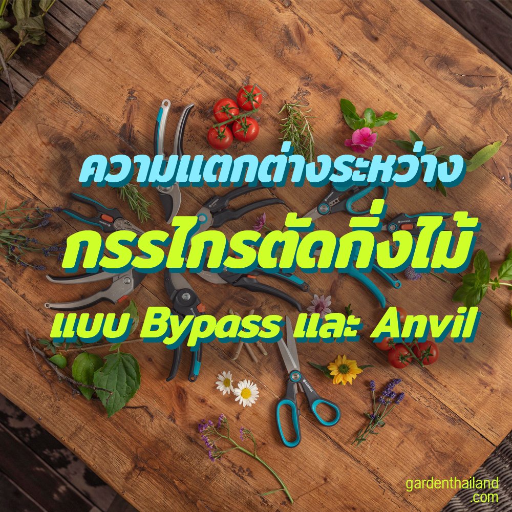 ความแตกต่างระหว่างกรรไกรแบบ Bypass และ Anvil ความแตกต่างระหว่างกรรไกรแบบ Bypass และ Anvil