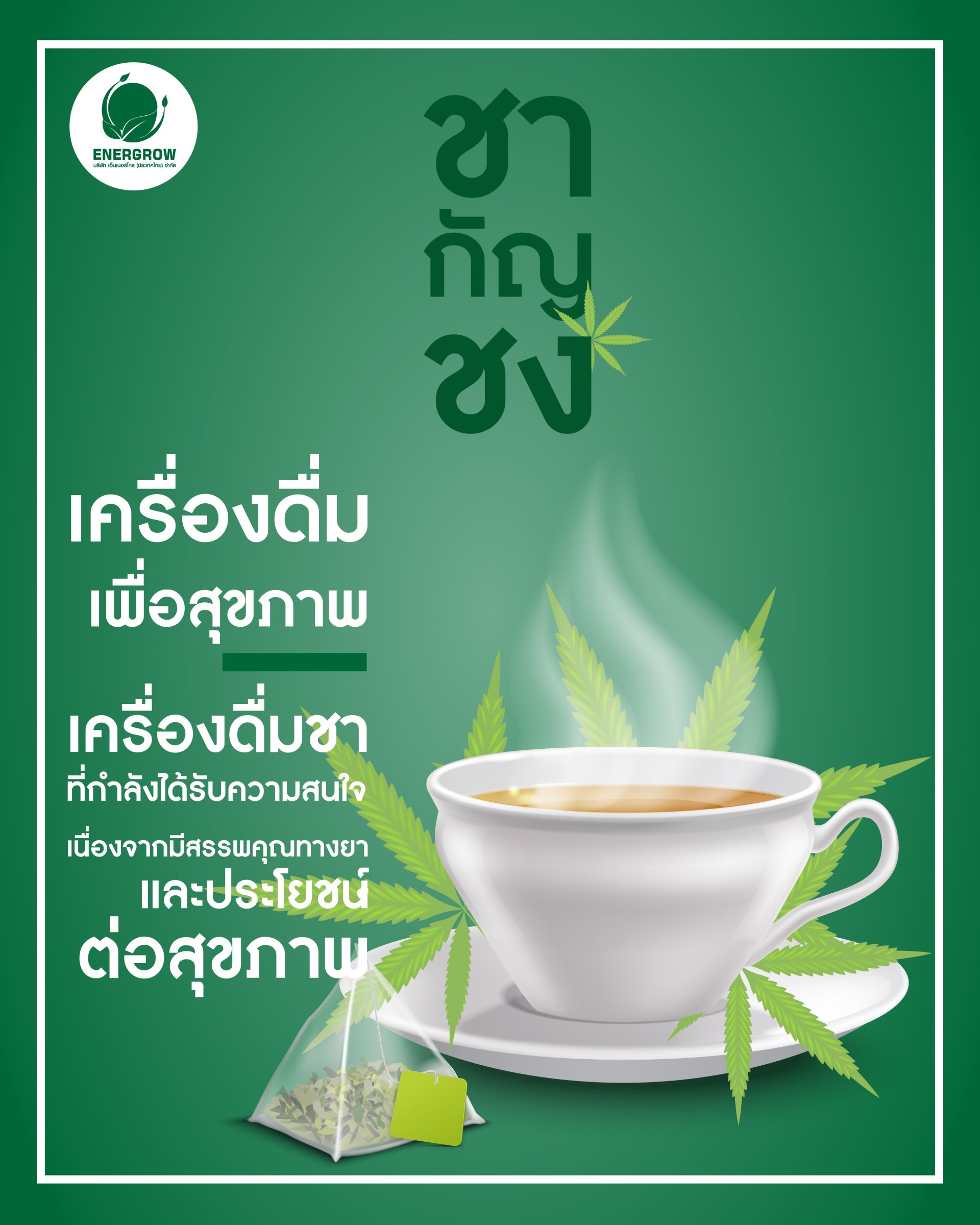 My Image 39