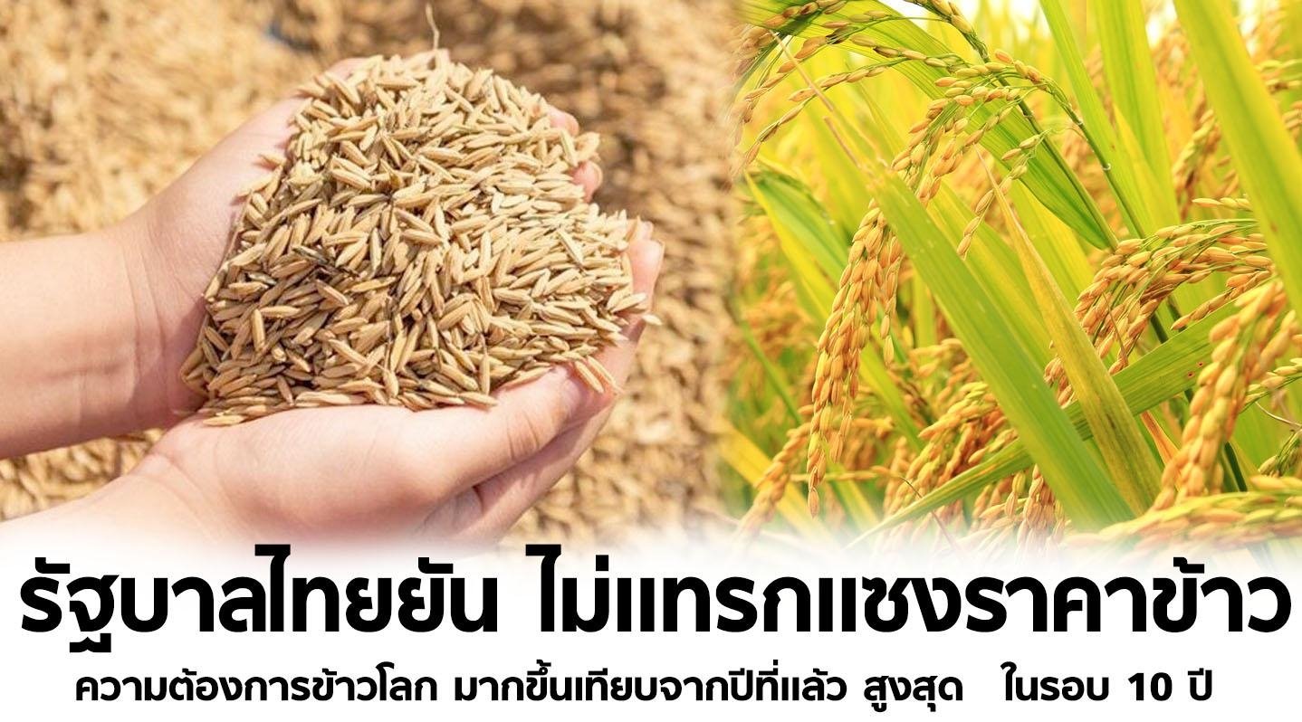 ประเทศไทยพร้อมพัฒนาพันธุ์ข้าวและผลิตข้าวคุณภาพสู่ตลาดโลก