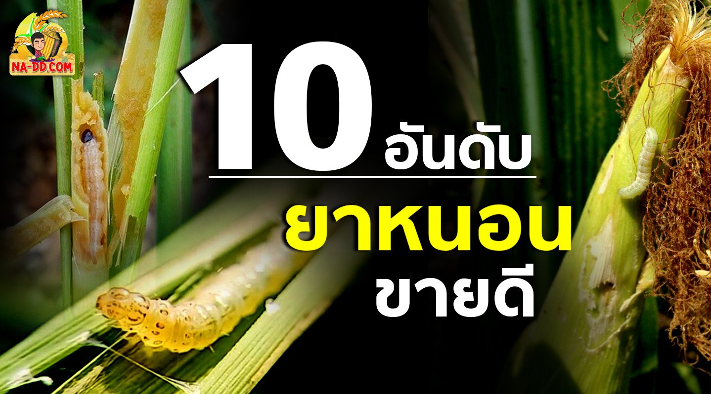 10 อันดับ ยาหนอนขายดี ต้องมีติดสวน