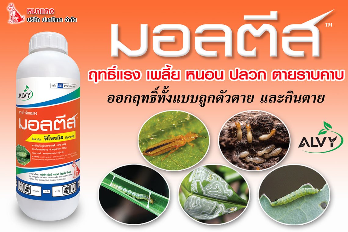 มอลตีส สารฟิโพรนิลป้องกันกำจัดแมลง และปลวก