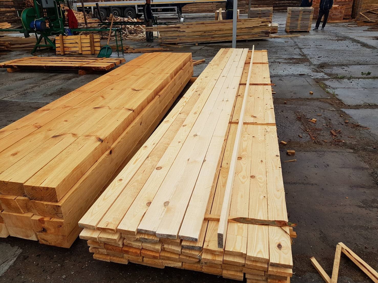 New Zealand Pine Timber woodplusgroup