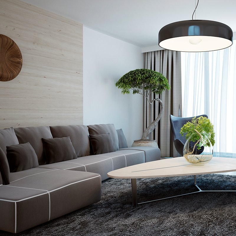 Minimalist Living room Designs