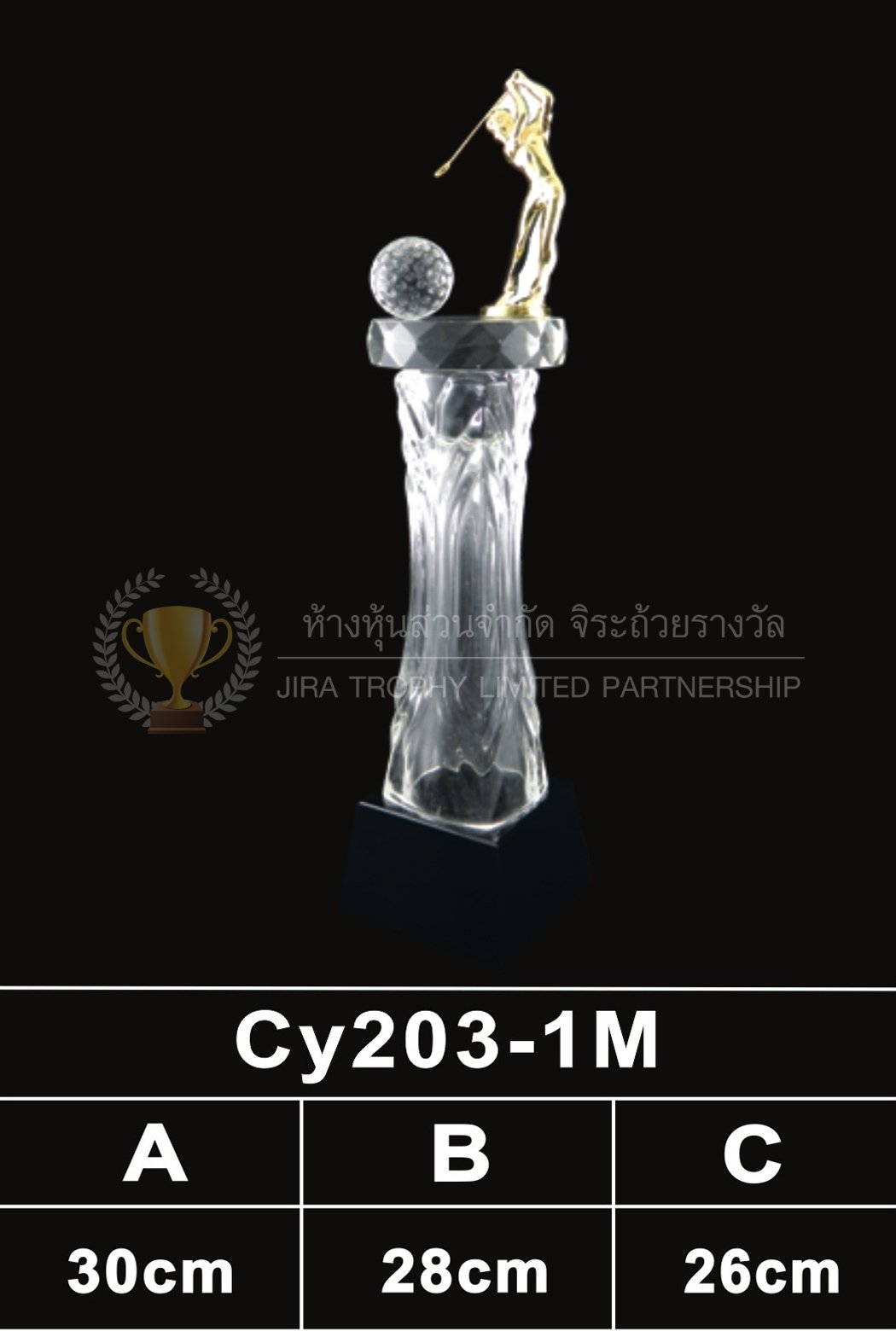 ถ้วยรางวัลคริสตัล CY203-1M