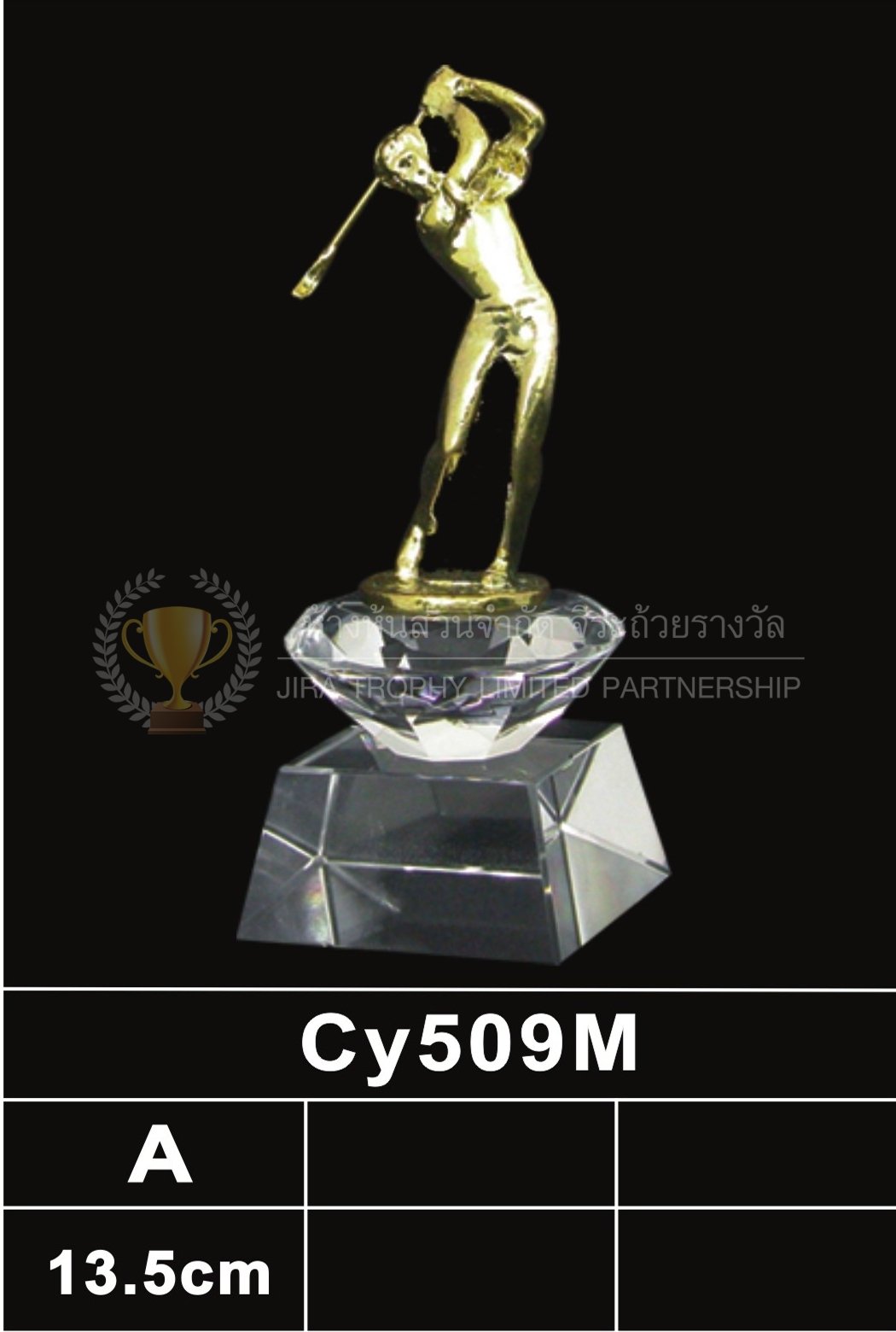 ถ้วยรางวัลคริสตัล CY509M