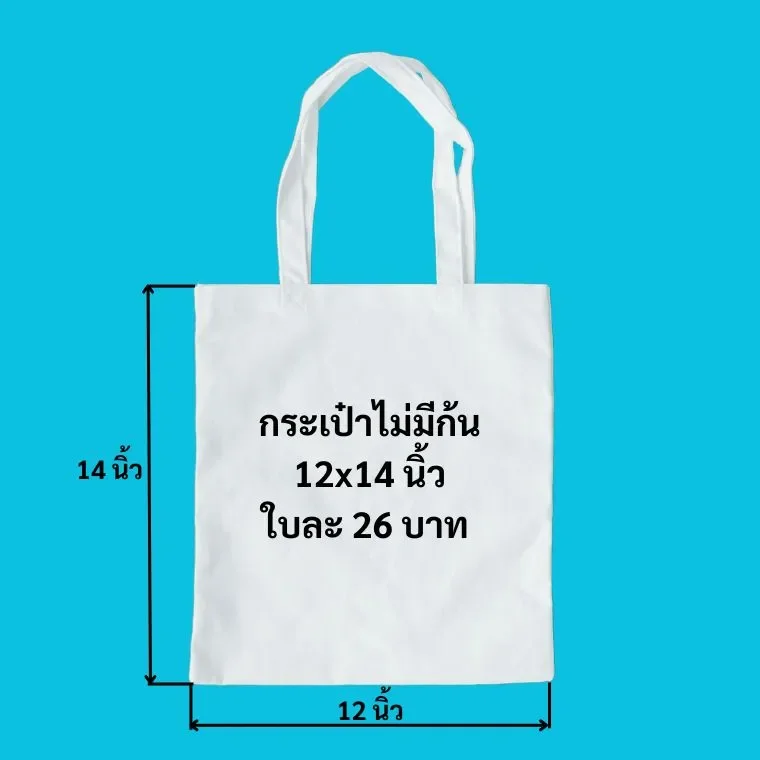 carrybagkapao