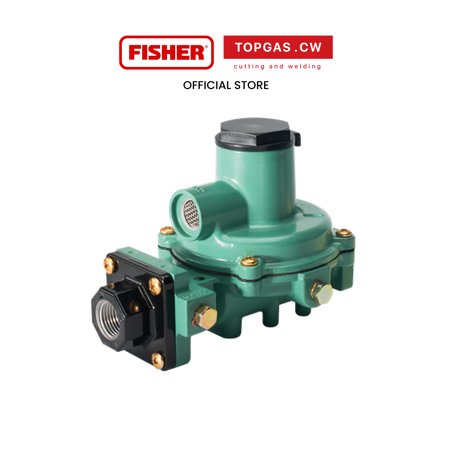 Low Pressure Regulator FISHER R222-BAF topgascw