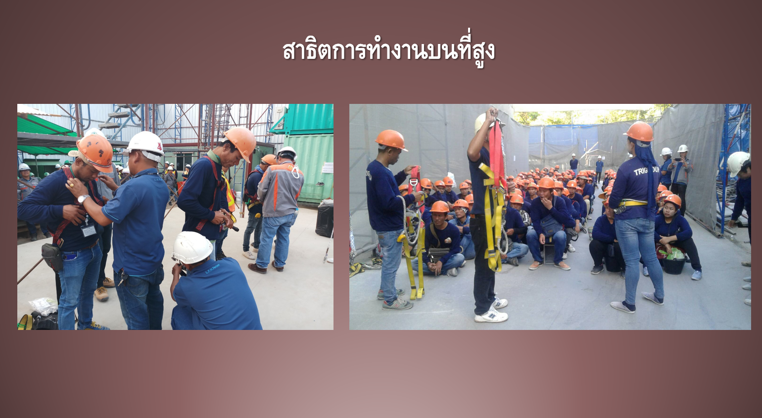 กิจกรรม