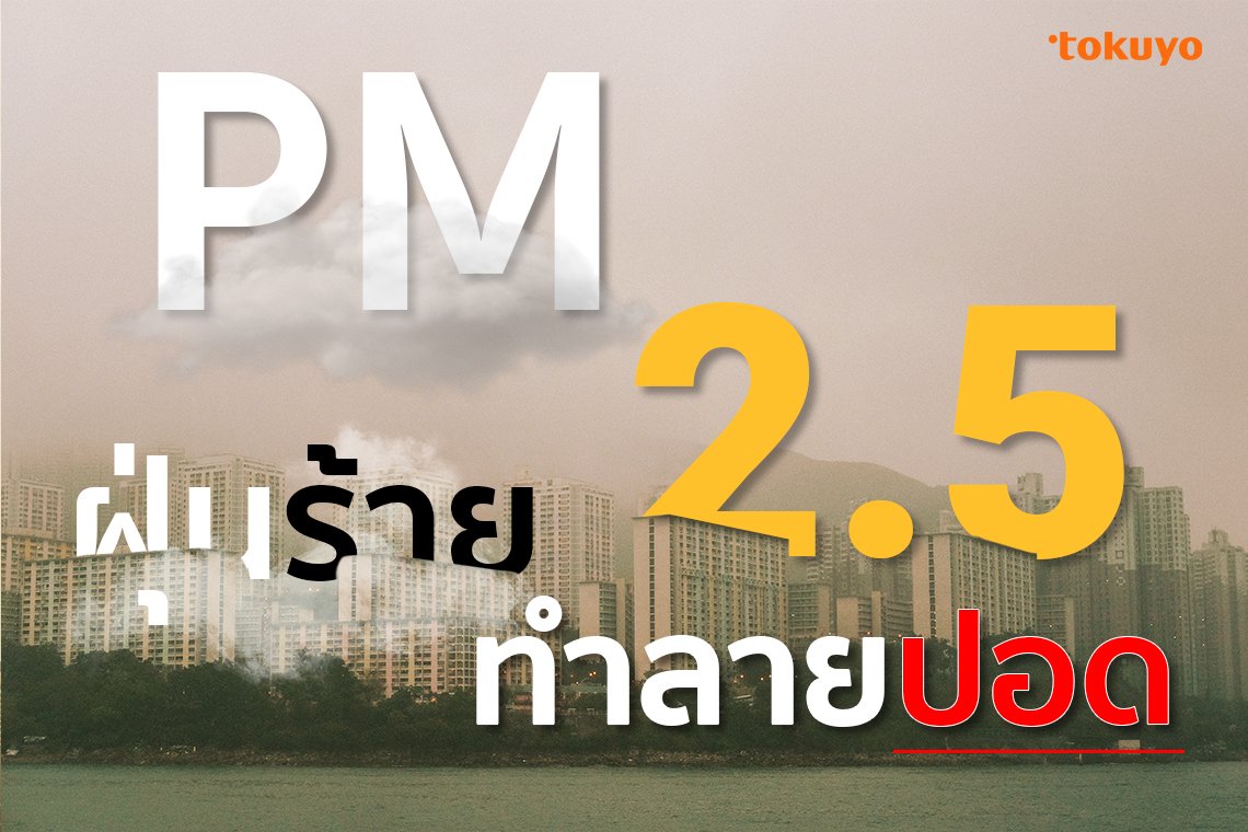PM2.5 ฝุ่นร้าย ทำลายปอด