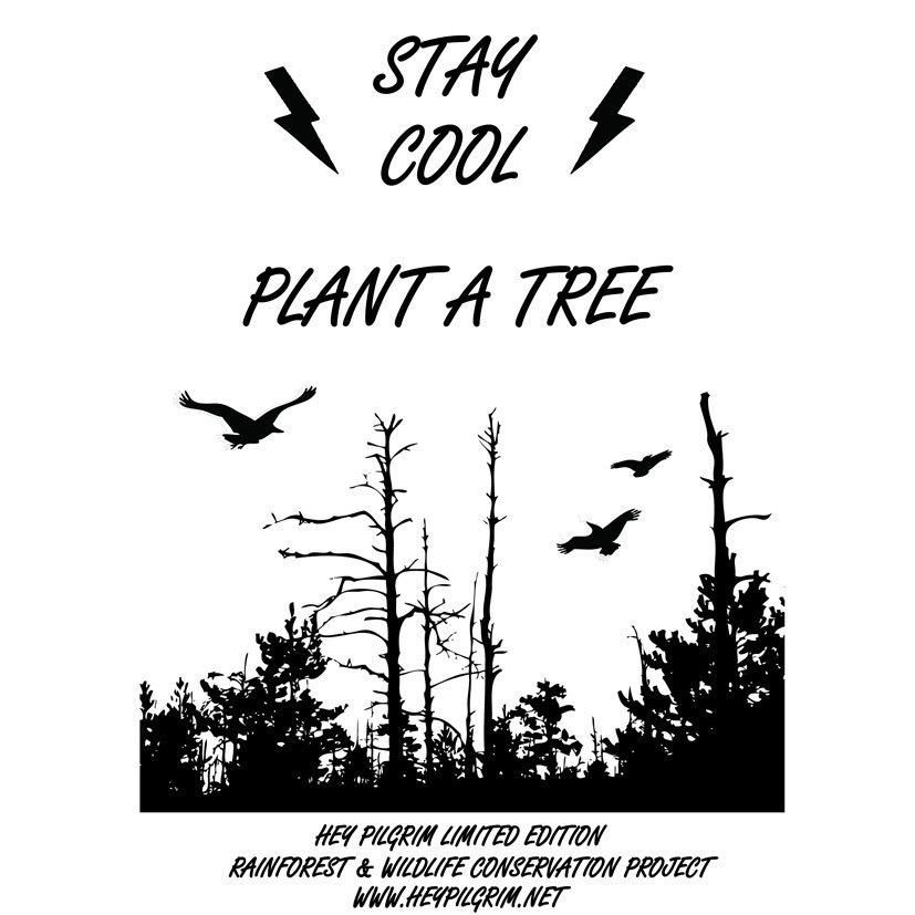STAY COOL , PLANT A TREE ,RAINFOREST & WILDLIFE CONSERVATION PROJECT