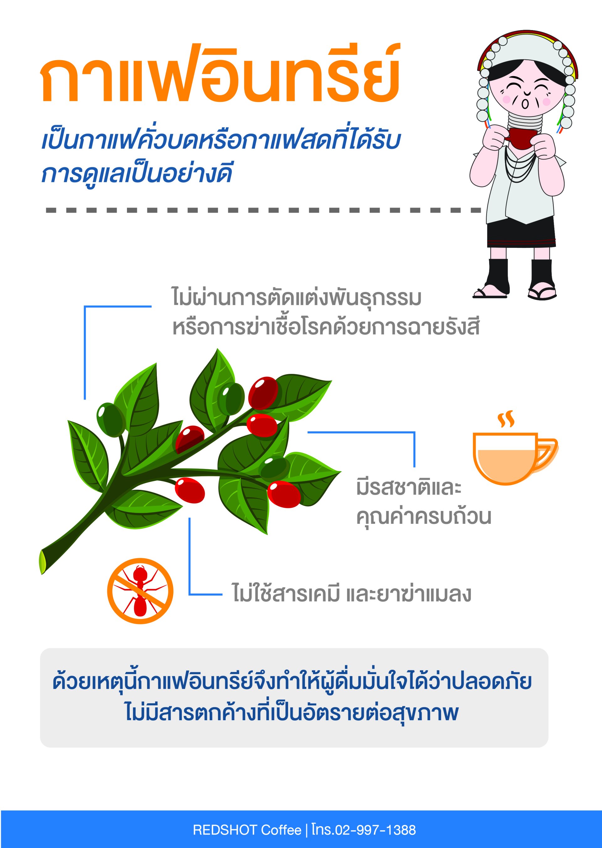กาแฟอินทรีย์คืออะไร?  กาแฟอินทรีย์คืออะไร?