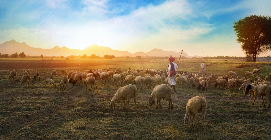 Ilustrasi Sejarah Qurban