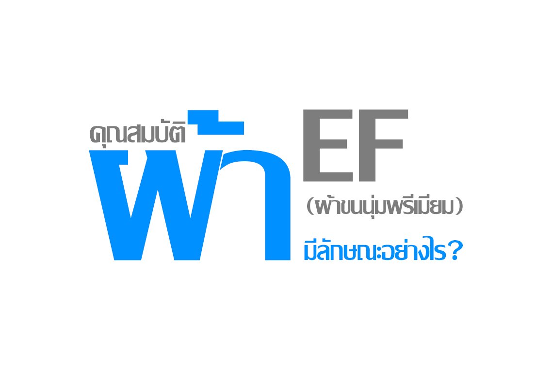 คุณสมบัติผ้า EF(ผ้าขนนุ่มพรีเมียม) มีลักษณะอย่างไร ? คุณสมบัติผ้า EF(ผ้าขนนุ่มพรีเมียม) มีลักษณะอย่างไร ?