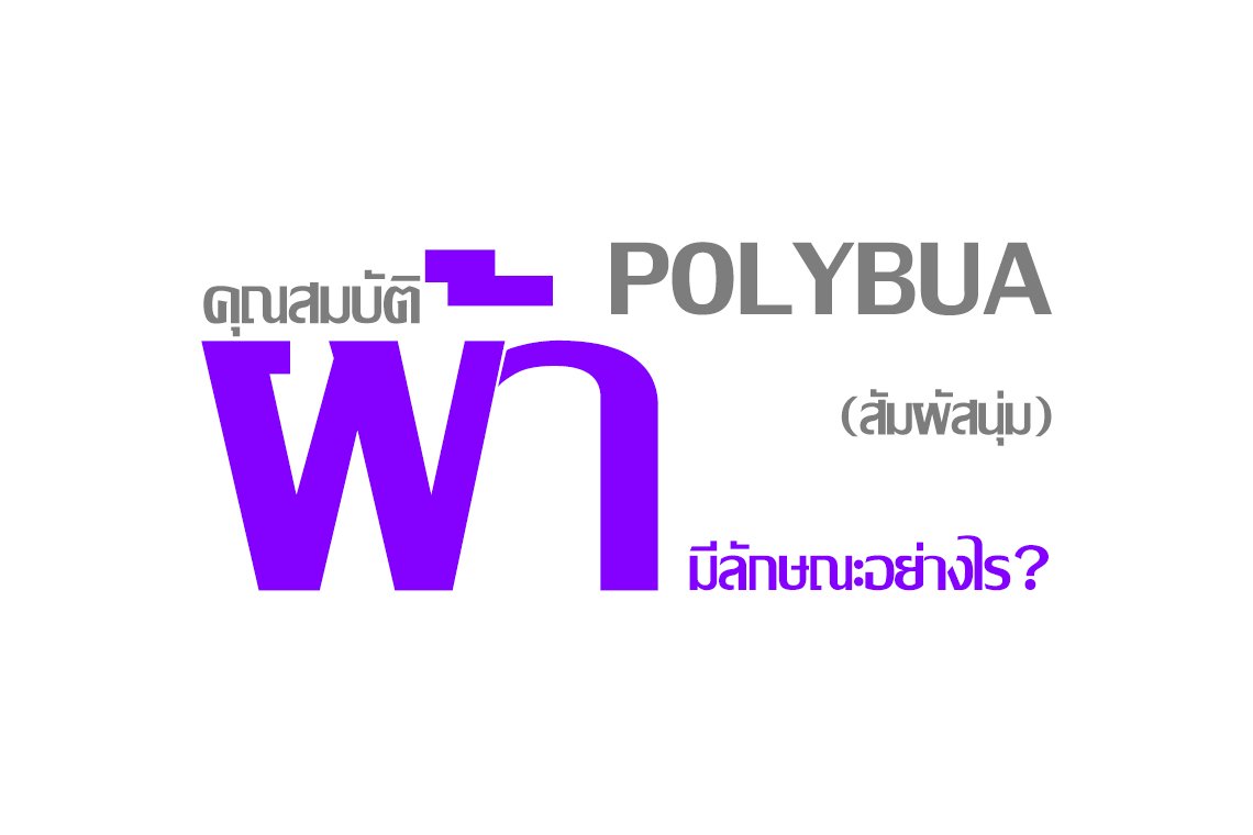 คุณสมบัติผ้า POLYBUA (สัมผัสนุ่ม) มีลักษณะอย่างไร ? คุณสมบัติผ้า POLYBUA (สัมผัสนุ่ม) มีลักษณะอย่างไร ?
